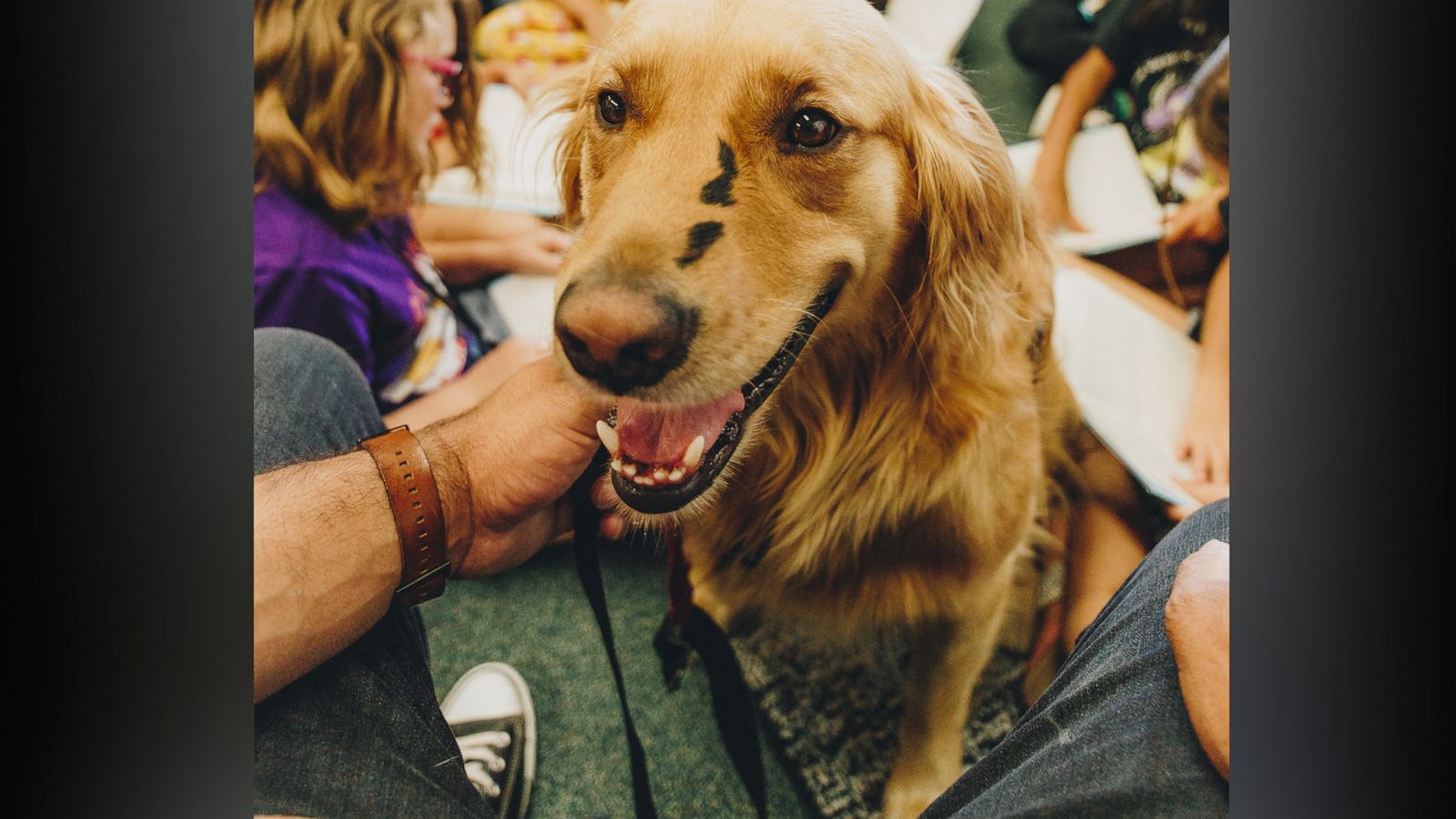 VIDEO: Golden retriever with unique birthmark inspires others to share their differences