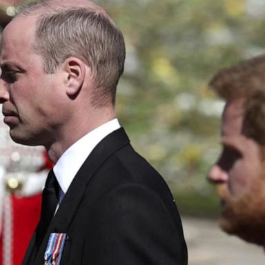 VIDEO Princes William and Harry to reunite at unveiling of Diana statue