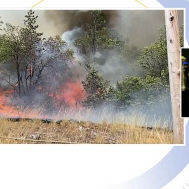 VIDEO: Dozens dead from record-shattering heat