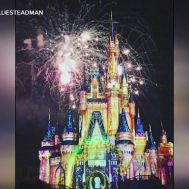 VIDEO: Fireworks are back at Disney World