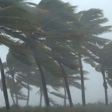 VIDEO: Tropical Storm Elsa slams Florida with torrential rain