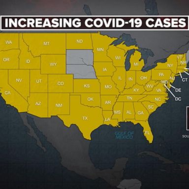 VIDEO: 58% of new COVID cases from delta variant, CDC say