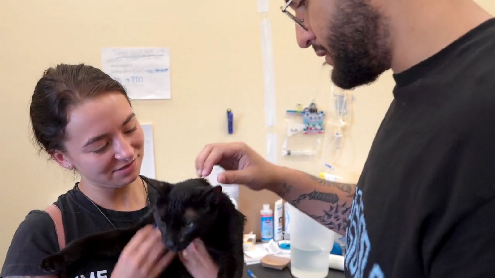 VIDEO: Cat has heartwarming reunion with owner after building collapse