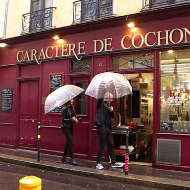 VIDEO: Paris welcomes tourists amid pandemic