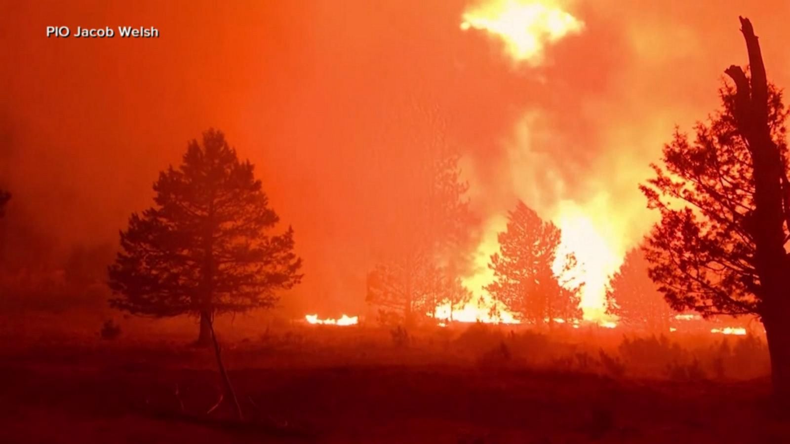 VIDEO: Dozens of massive wildfires burn across 13 states