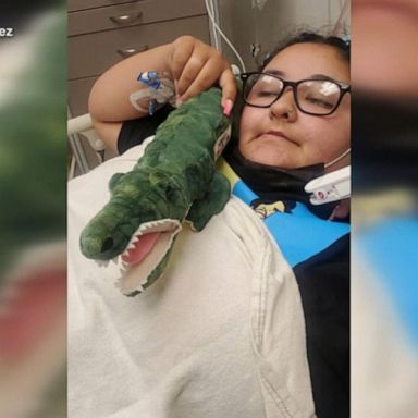 VIDEO: Teen details crocodile attack at Mexico beach resort