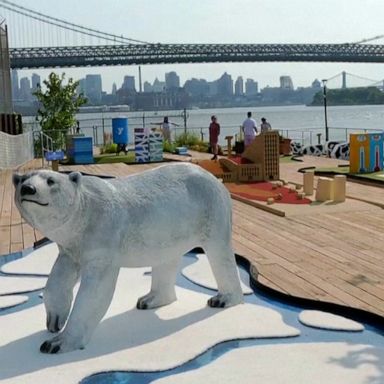 VIDEO: Students helped design climate change-themed mini golf course in New York City