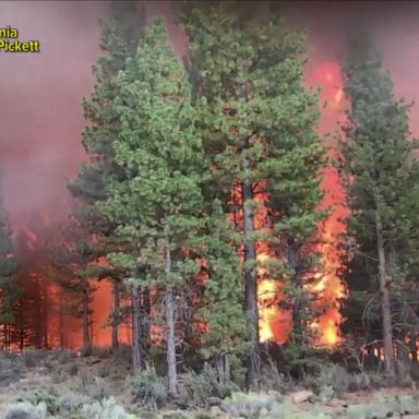 VIDEO: Rising temperatures set to bolster wildfires