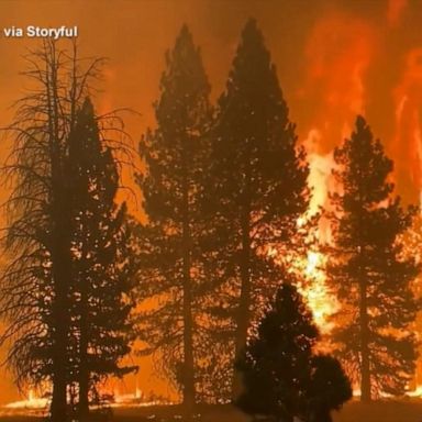 VIDEO: Dixie fire becomes 3rd largest fire in California history