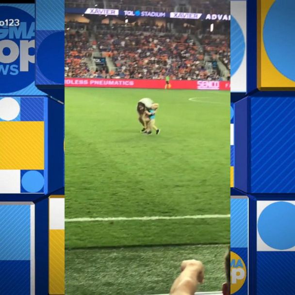 Mom rescues 2-yr-old who ran onto field at pro soccer game - Upworthy