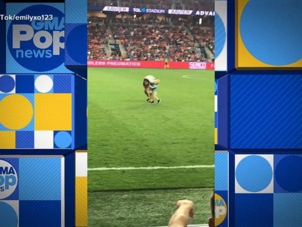 Mom rescues 2-yr-old who ran onto field at pro soccer game - Upworthy