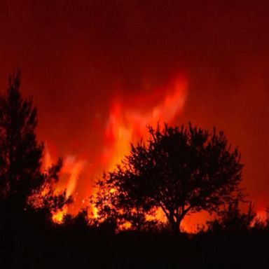 VIDEO: Wildfires force evacuations in Greece