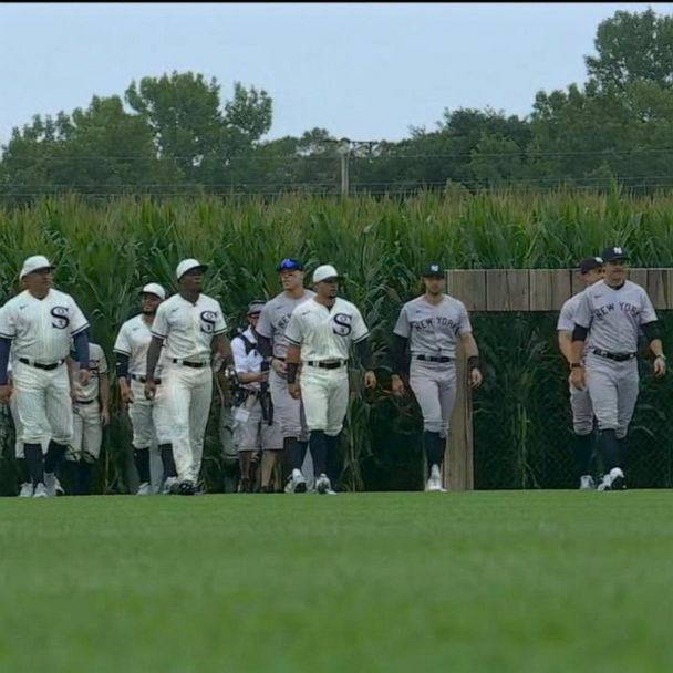 White Sox, Yankees Go Deep Into Corn In 'Field Of Dreams' Game, White Sox  Win With Hollywood Ending - CBS Chicago