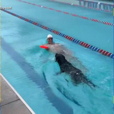 VIDEO: Caeleb Dressel shows off dog's swimming skills