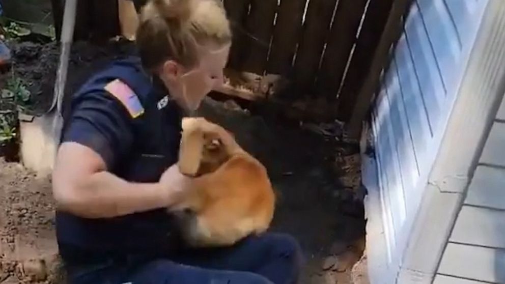 VIDEO: Police officers rescue dog trapped under house