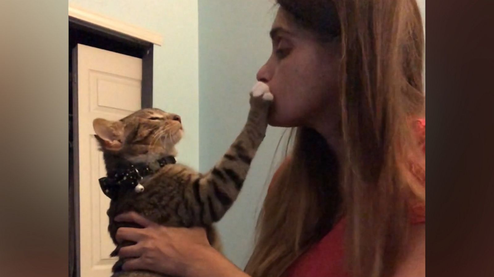 VIDEO: This four-eared cat is not interested in his owner’s kisses