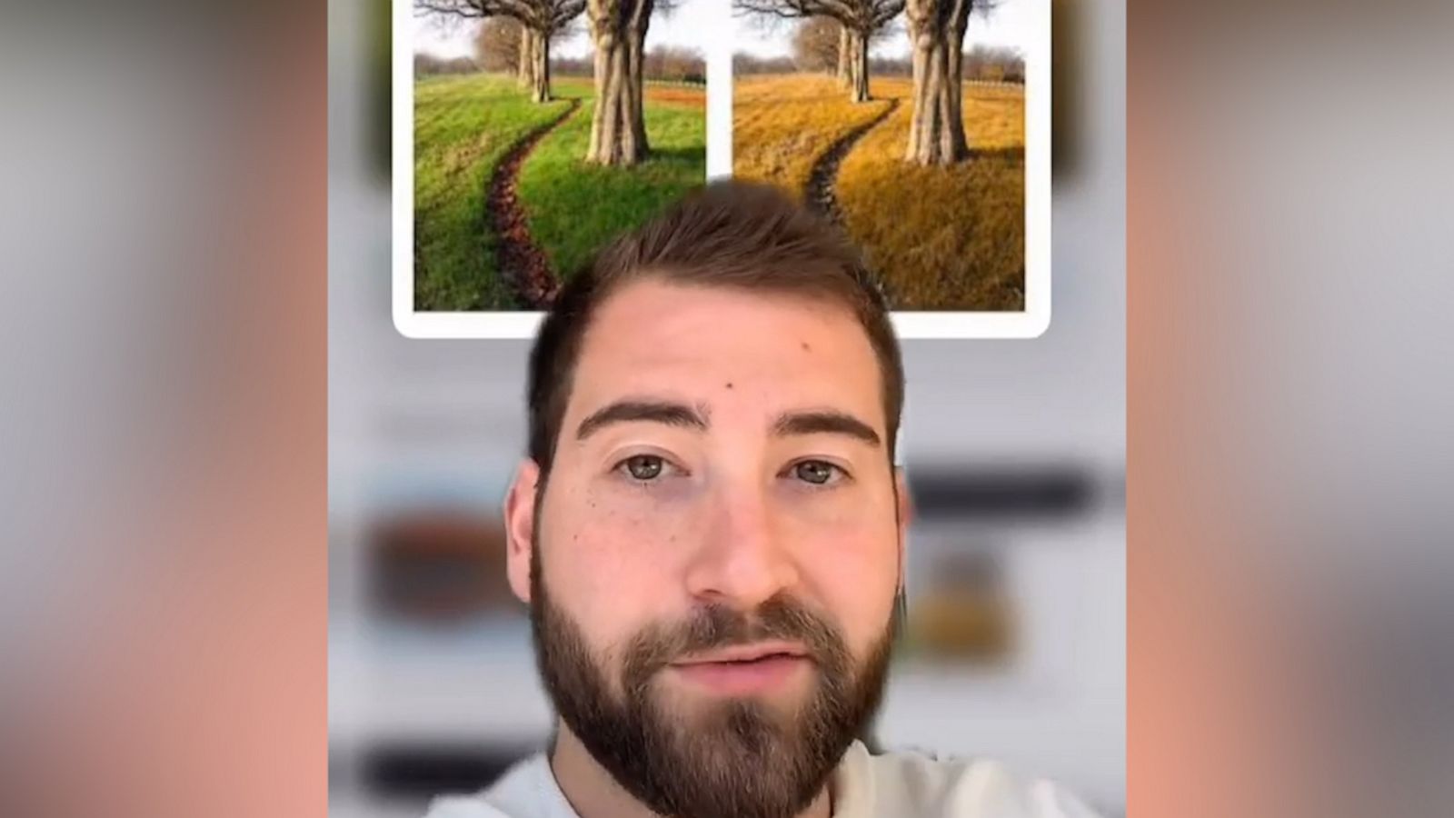 VIDEO: What is the science behind color blindness?