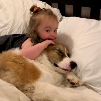 VIDEO: Grab your the tissues for the sweetest corgi and toddler snuggle sesh ever to exist