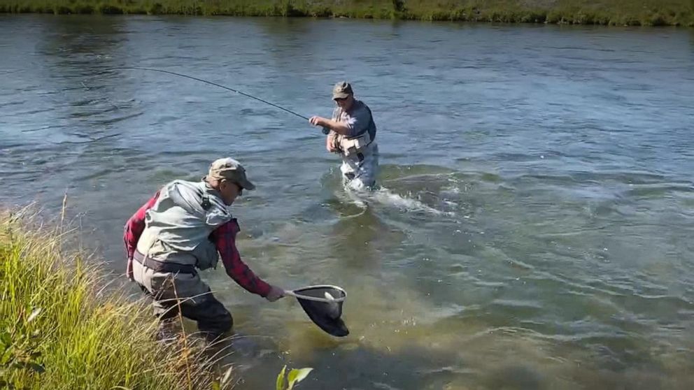 Video Wyoming is a fly fisher's paradise - ABC News