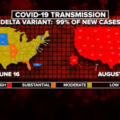 VIDEO: COVID-19 hospitalizations top 100,000 nationwide