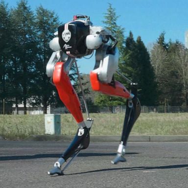 VIDEO: Robot makes history completing a 5K course 