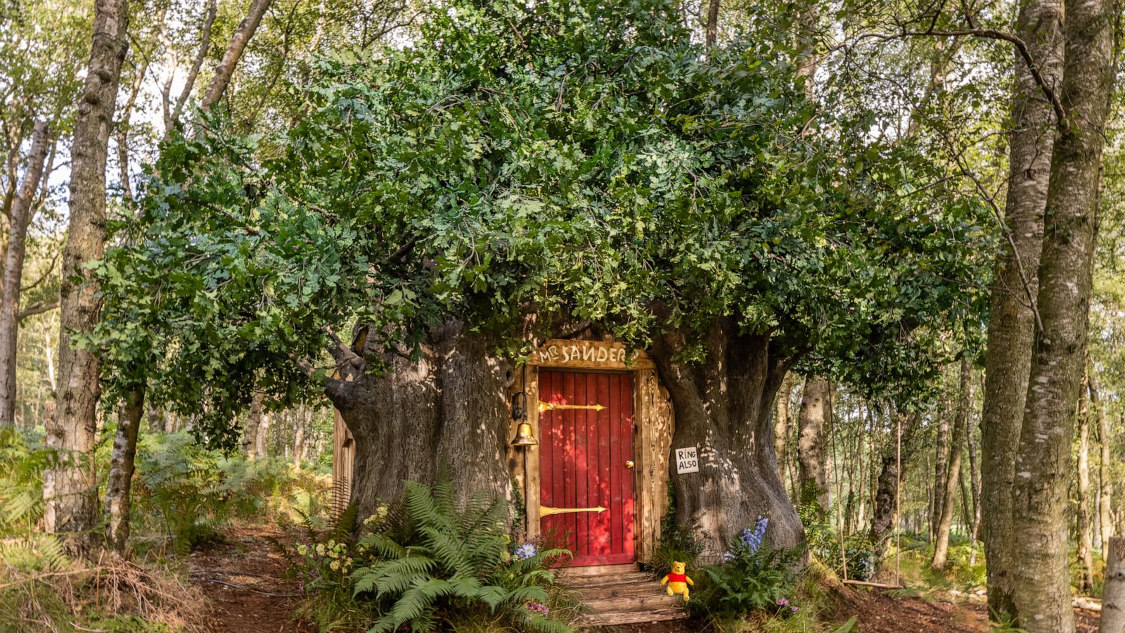 PHOTO: Airbnb and Disney teamed up to create this Winnie the Pooh "Bearbnb."