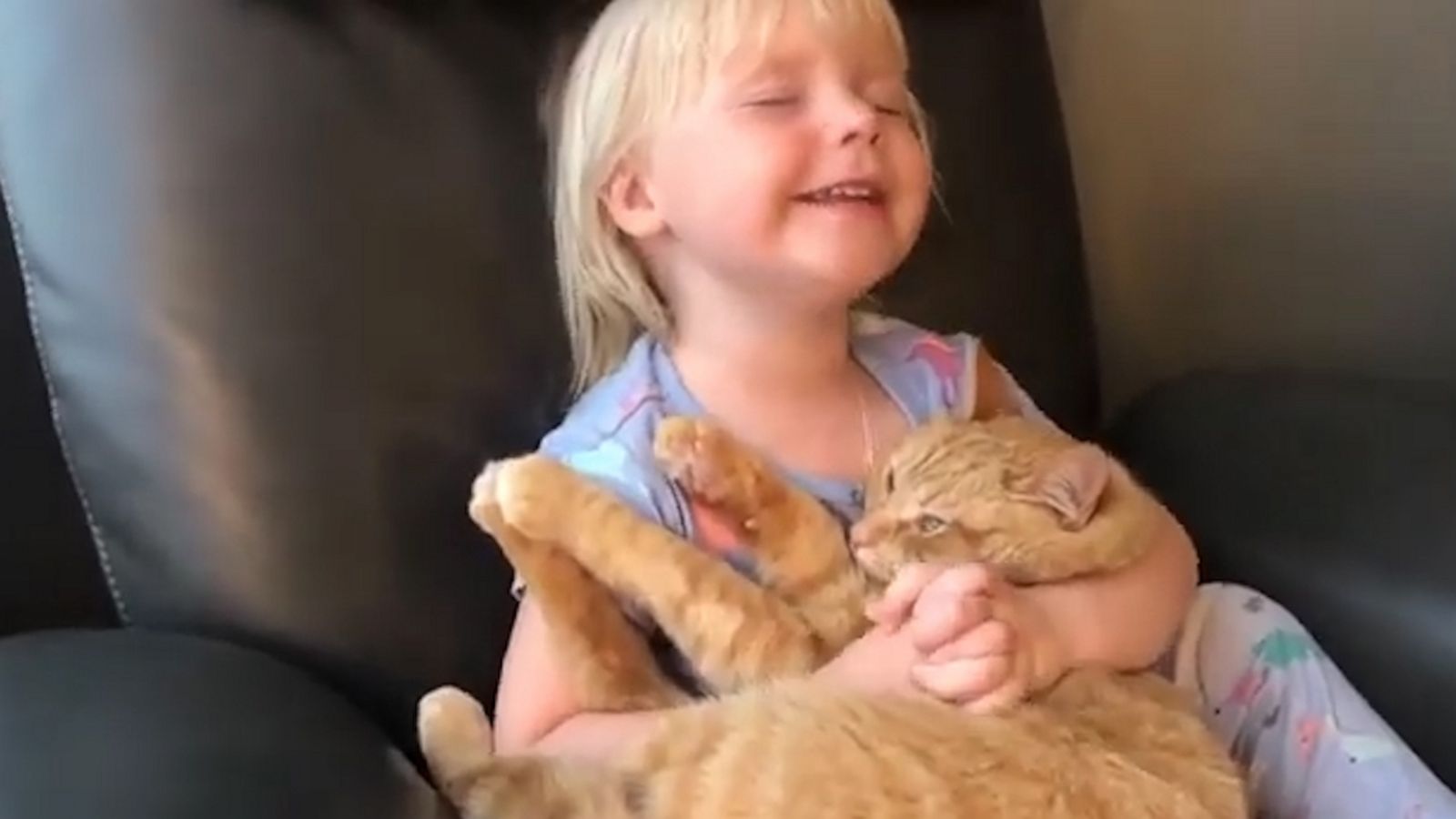 VIDEO: Toddler says her bedtime prayer while clutching her cat