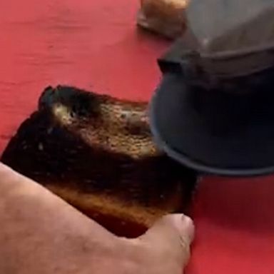 VIDEO: This hack to save burnt toast is unusual, yet, effective 