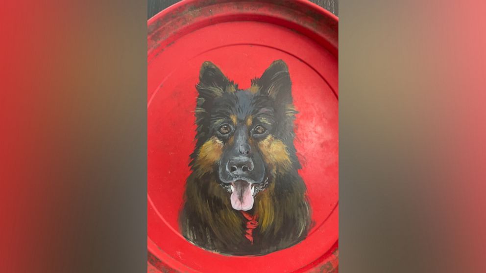 VIDEO: How artist's pet portraits on frisbees helps owners in mourning process