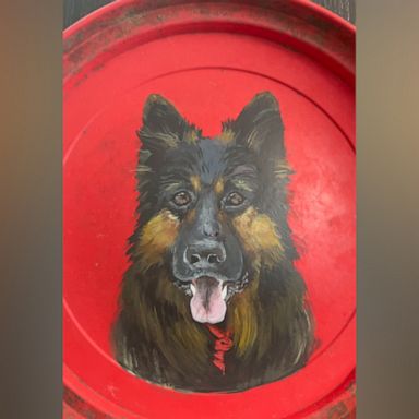 VIDEO: How artist's pet portraits on frisbees helps owners in mourning process