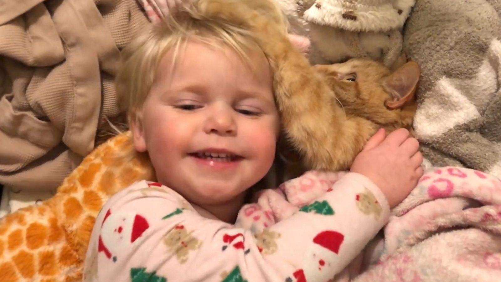 VIDEO: Toddler demands silence as she and her cat try to nap