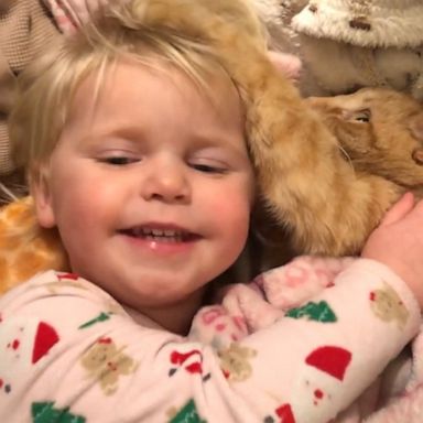 VIDEO: Toddler demands silence as she and her cat try to nap