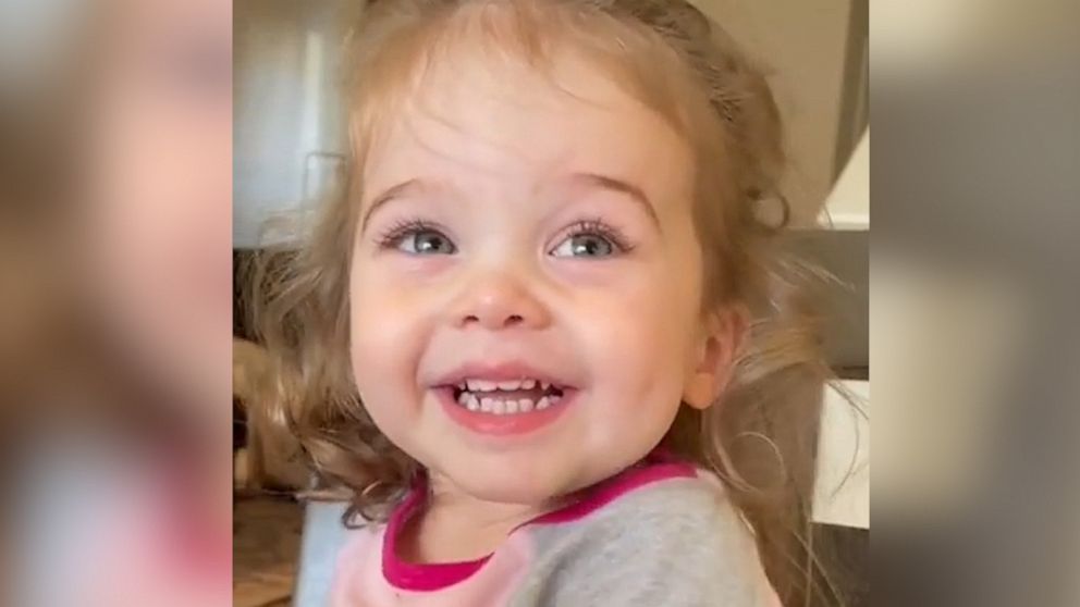PHOTO: TikTok of toddler Stella Cocchi watching "Jeopardy!" has gone viral.