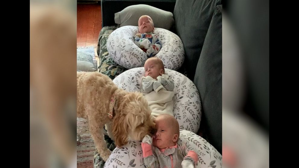 VIDEO: Our hearts are exploding watching this dog love on these 2-month-old triplets 