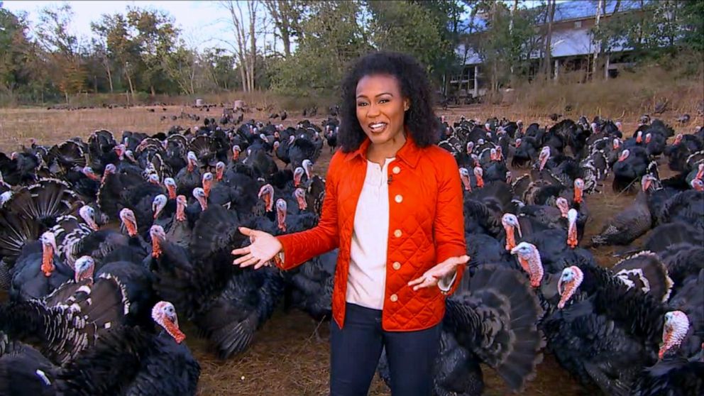 Video Why your Thanksgiving turkey might cost more this year - ABC News