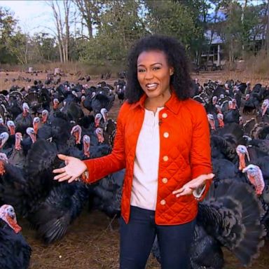 VIDEO: Why your Thanksgiving turkey might cost more this year