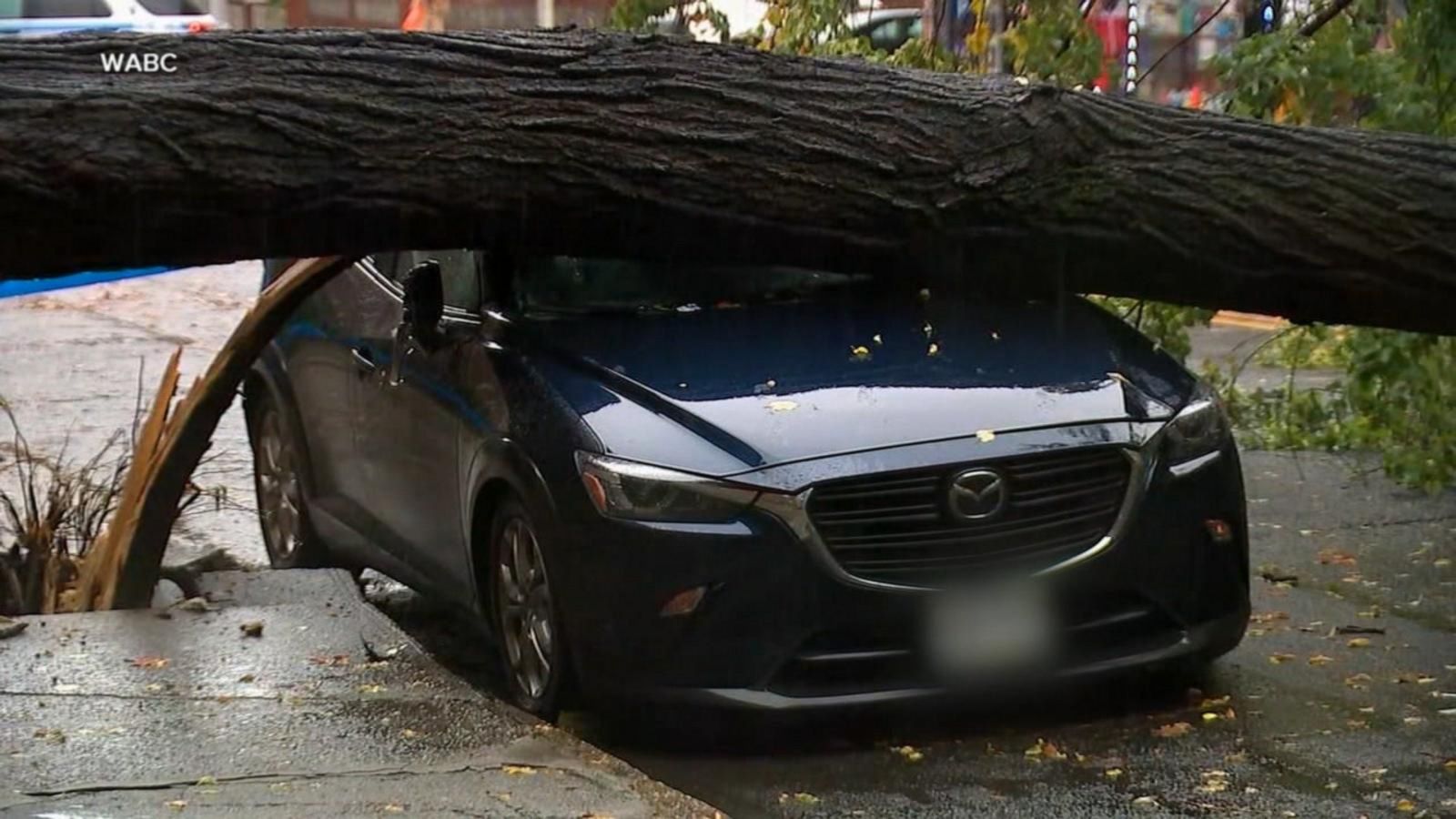 VIDEO: Nor'easter brings bomb cyclone to New England