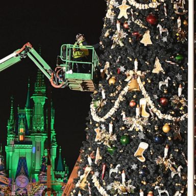 VIDEO: The holidays have arrived at Walt Disney World 