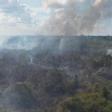 VIDEO: This conservationist is trying to save the Amazon rainforest