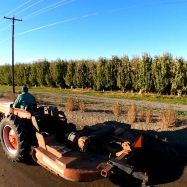 VIDEO: Climate farm labor 