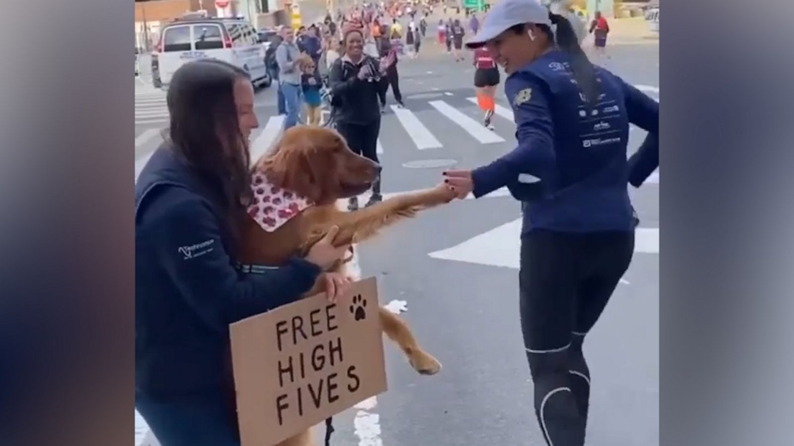 VIDEO: This dog gave out free high-fives to NYC marathoners