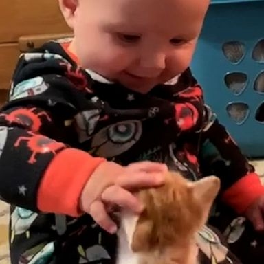 VIDEO: Baby bonds With rescue kitten in adorable video 