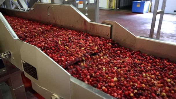 Cranberries hit by supply chain woes, from cans to transportation 