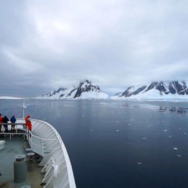 VIDEO: Sights and sound from Antarctica