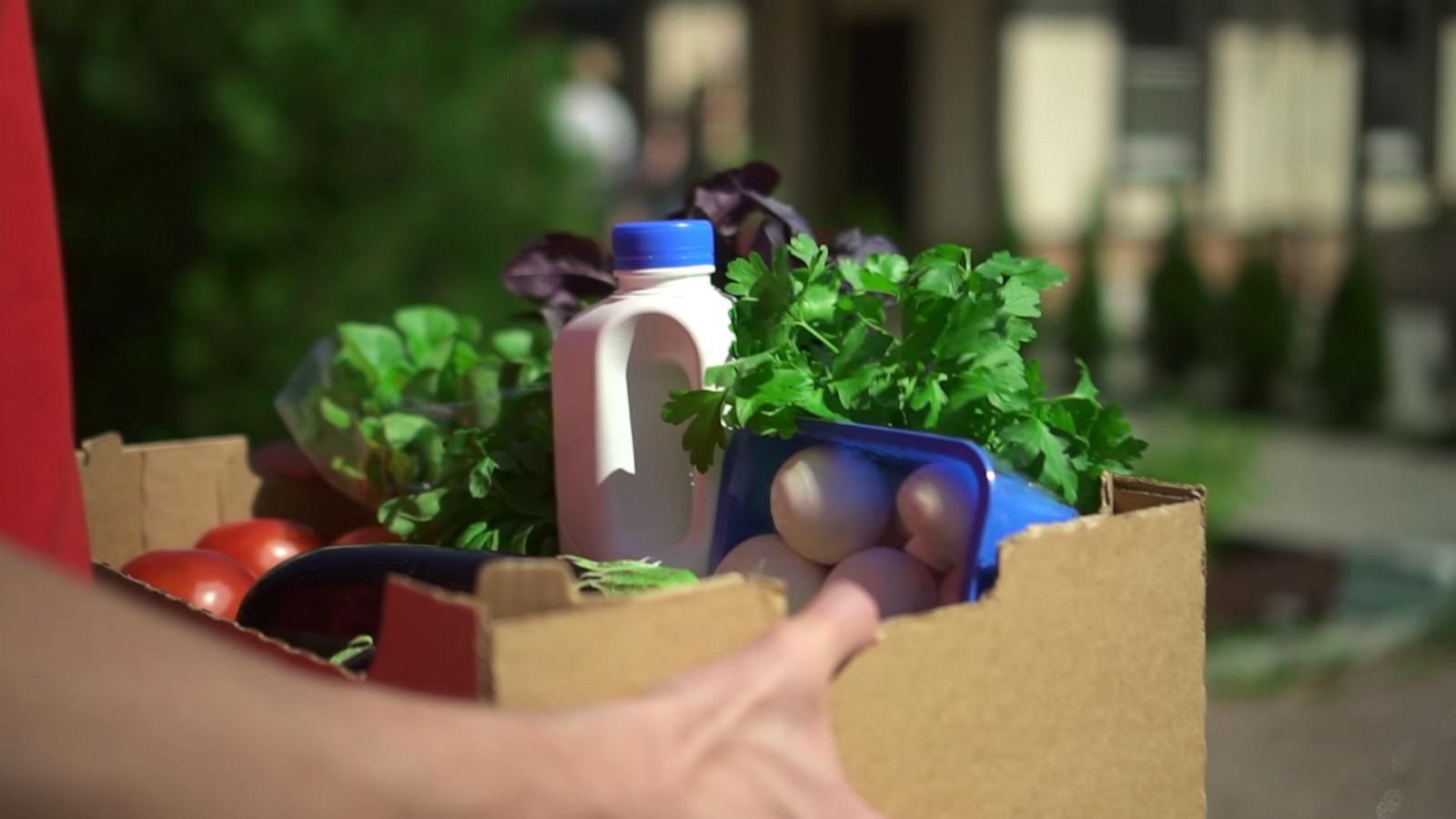 VIDEO: How to save on groceries online and through delivery