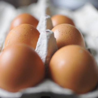 VIDEO: US faces egg shortage ahead of 2025