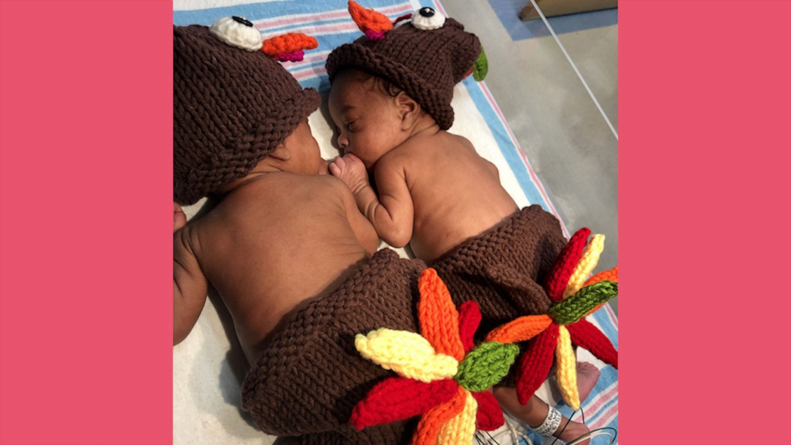 VIDEO: Newborns dressed as turkeys are so cute we could gobble them up