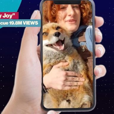 VIDEO: These are TikTok’s most popular videos of 2021