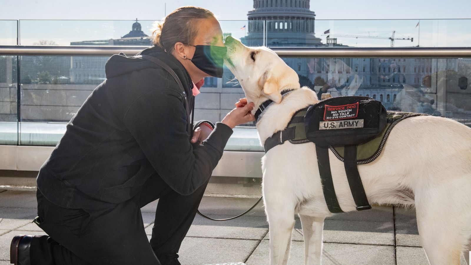 VIDEO: This veteran suffering from PTSD found hope from a service animal