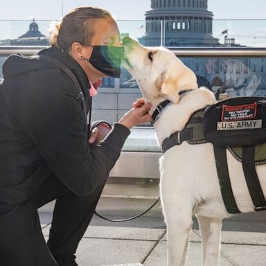 VIDEO: This veteran suffering from PTSD found hope from a service animal